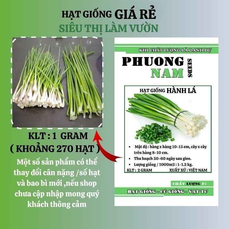 2GR - HẠT GIỐNG HÀNH LÁ