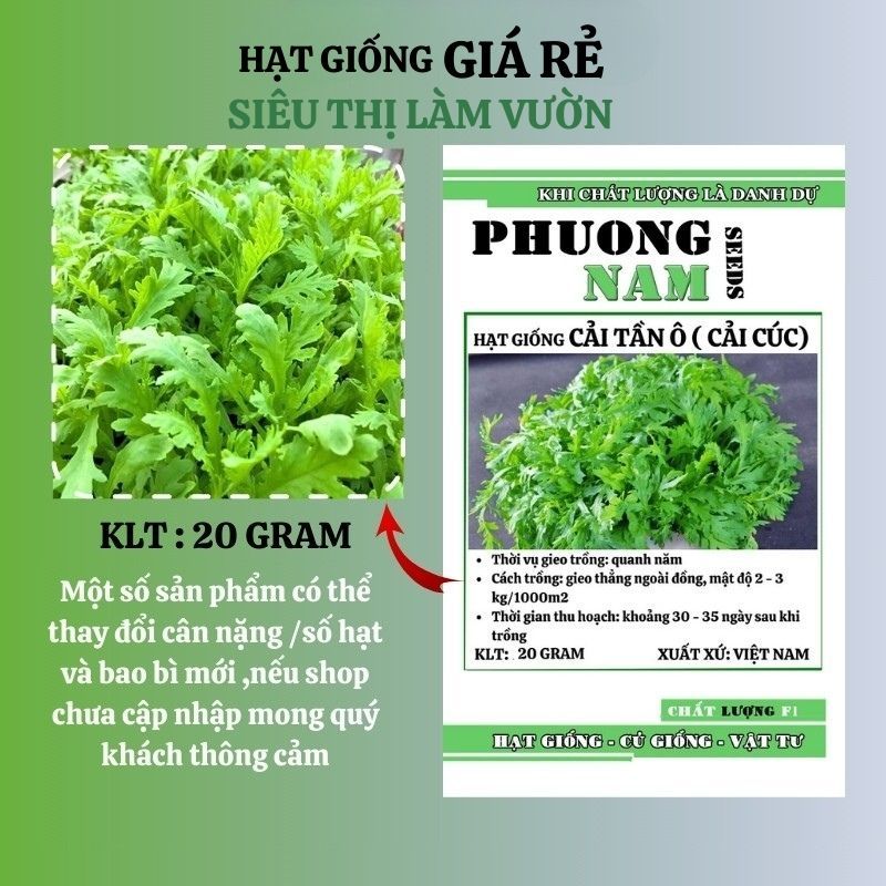 20GR - HẠT GIỐNG TẦN Ô