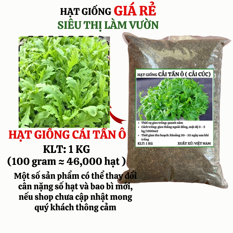 1 KG - HẠT GIỐNG TẦN Ô