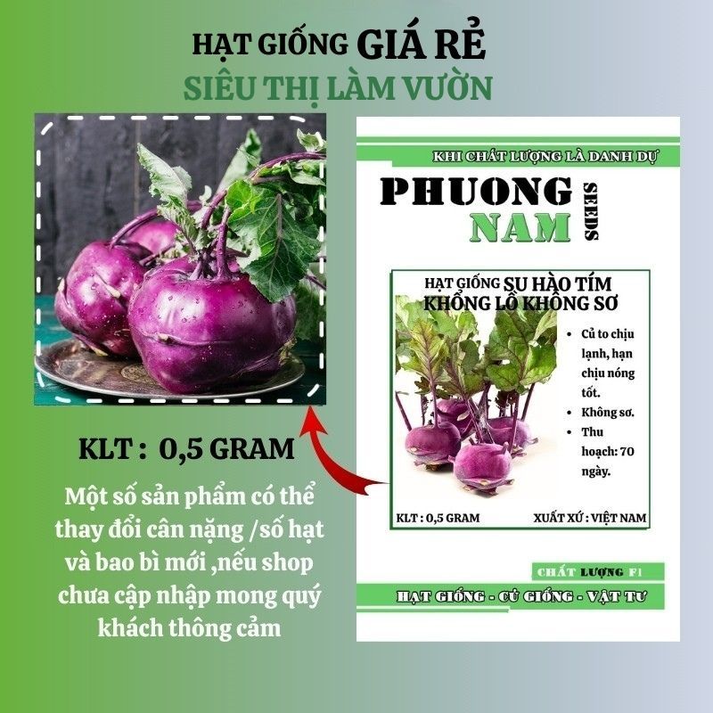 50 H  - HẠT GIỐNG SU HÀO TÍM KHÔNG SƠ CỦ TO