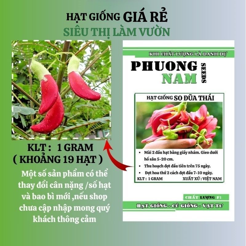 10H - HẠT GIỐNG SO ĐŨA TỨ QUÝ THÁI BÔNG ĐỎ
