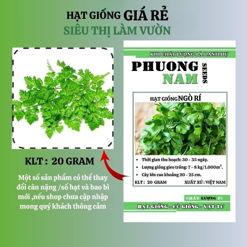 20GR - HẠT GIỐNG NGÒ ( RAU MÙI )