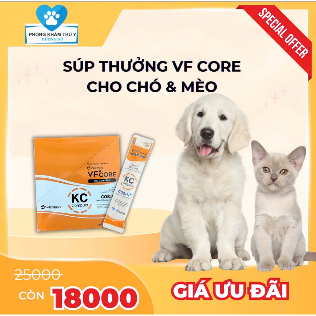 SÚP THƯỞNG HỖ TRỢ THẬN CHO CHÓ MÈO VF CORE KC