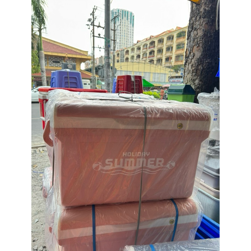 Thùng đá Icy DUY TÂN 45L