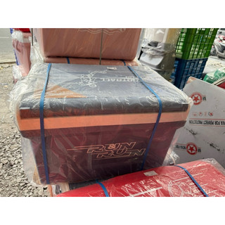 Thùng đá Icy DUY TÂN 45L