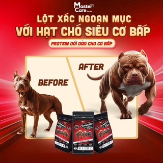  Hạt Tăng Cơ Bắp Cho Bully Pug Bull Becgie - Siêu Dinh Dưỡng Thơm Ngon Dễ Tiêu Hóa MasterCare 
