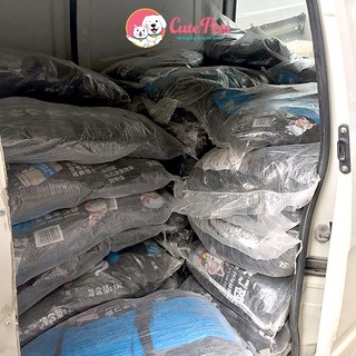 Cát Nhật 8L dành cho mèo - Cutepets