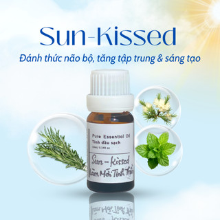 TINH DẦU SẠCH cho máy xông thơm phòng thư giãn ngủ ngon tăng năng lượng khử mùi The Second Lab