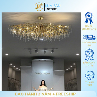 Đèn pha lê kiểu Pháp,Đèn chùm Pha Lê hiện đại,Đèn trang trí phòng khách.Đèn thả chùm decor, Đèn led trang trí 18W