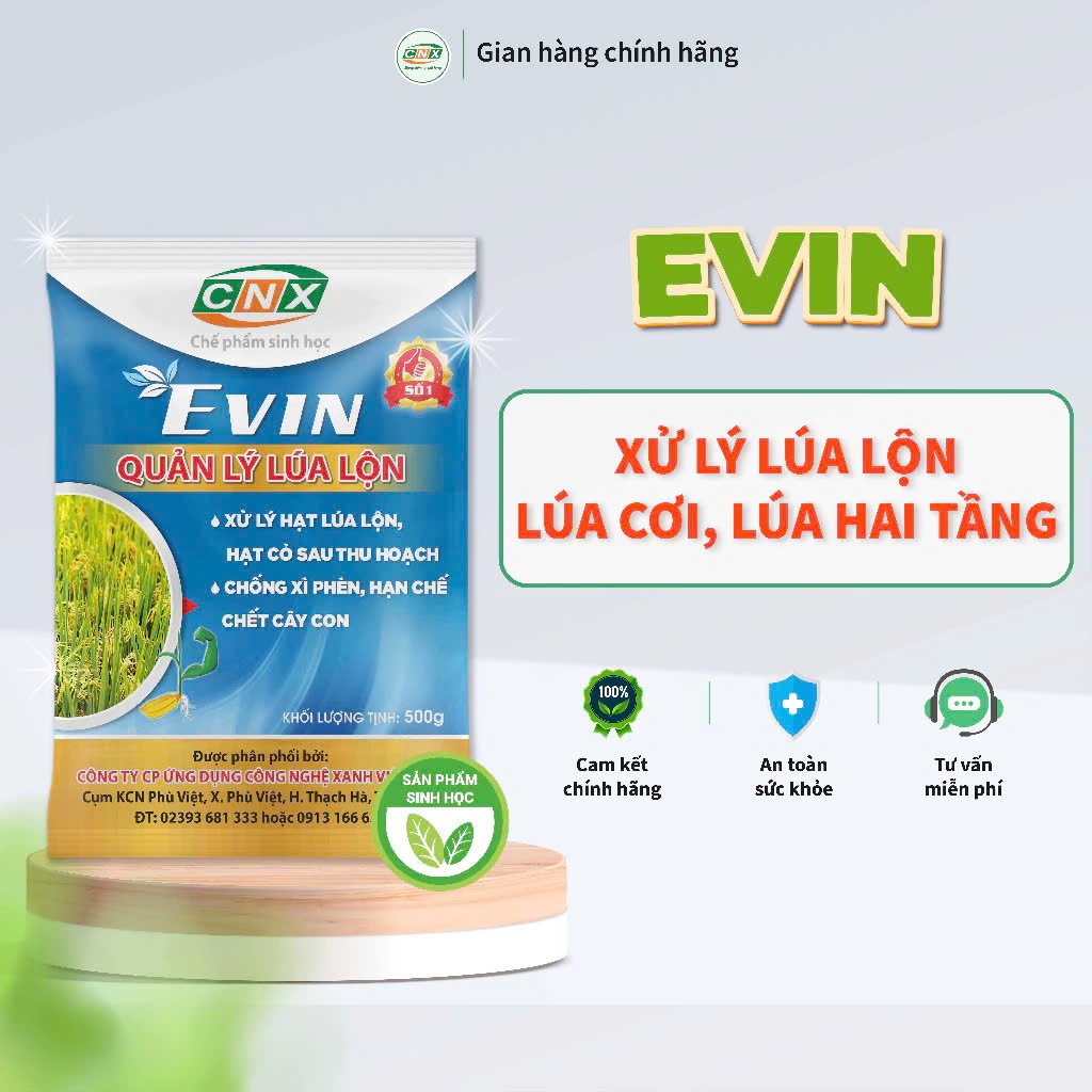 Chế phẩm sinh học EVIN quản lý lúa ma, lúa lộn, lúa 2 tầng - CNX 500G