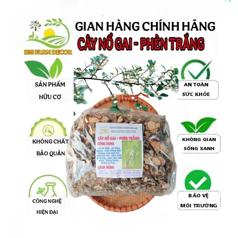1kg cây nổ gai phèn trắng sấy khô