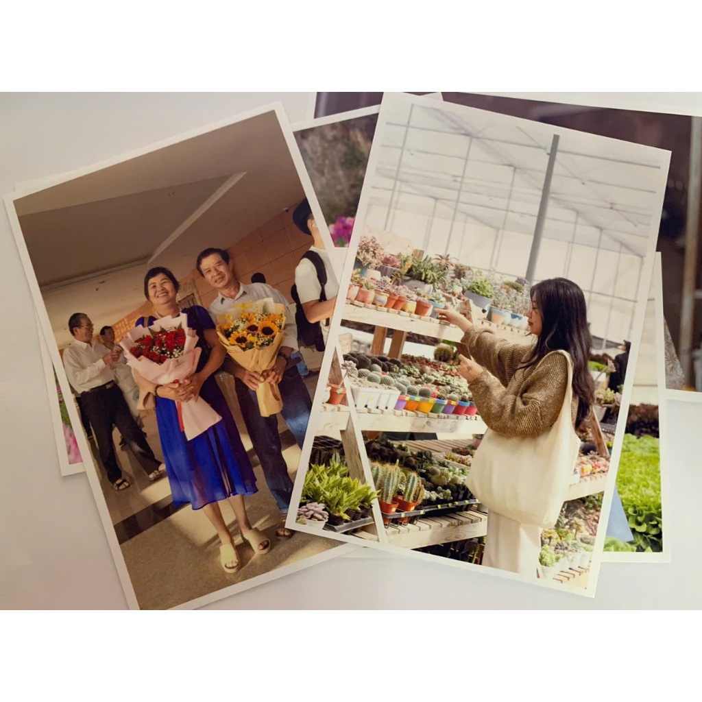 In ảnh 10x15 ( a6)