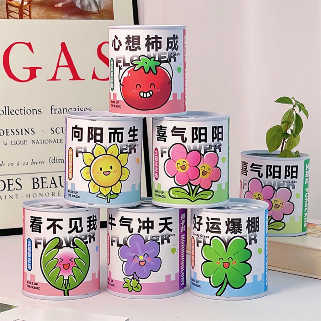 Kit Trồng Cây Hạt Giống Trồng Hoa Mini Tại Nhà Cho Bé Đồ Chơi Nghiên Cứu Stem Quan Sát Quá Trình Nảy Mầm