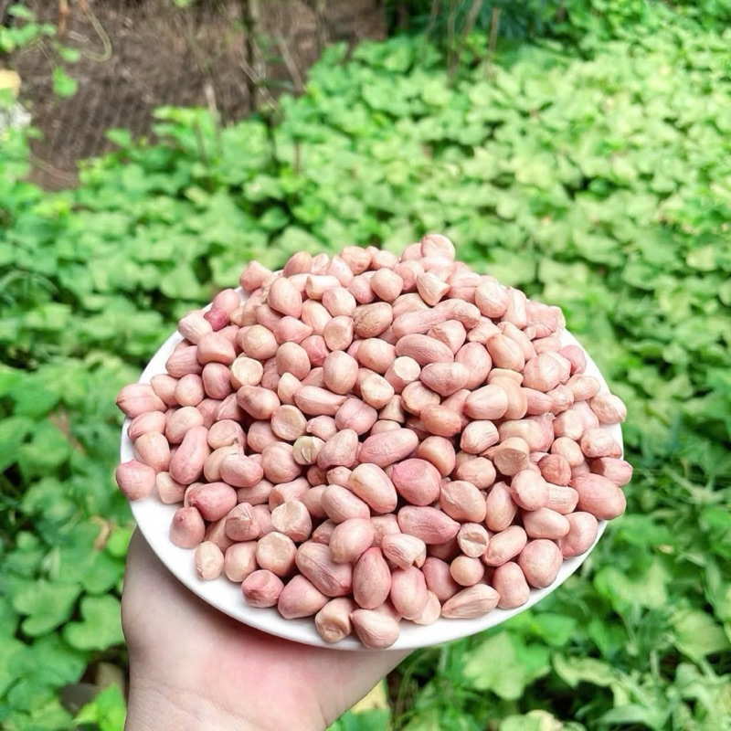500gđậu phộng trắng