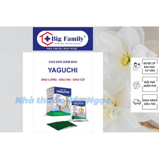 gói 5 miếng cao dán thảo dược YAGUCHI