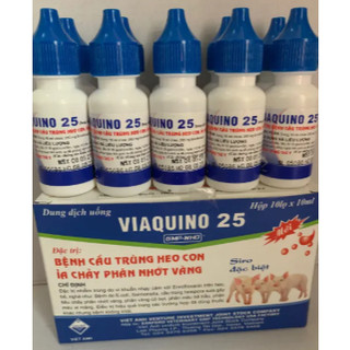 Đặc trị cầu trùng VIAQUINO 25 ( 10 lọ ) 10ml phân nhớt phó thương hàn trên heo Pet1989