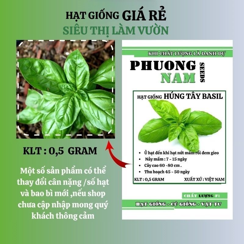 200H - HẠT GIỐNG HÚNG TÂY BASIL Ý