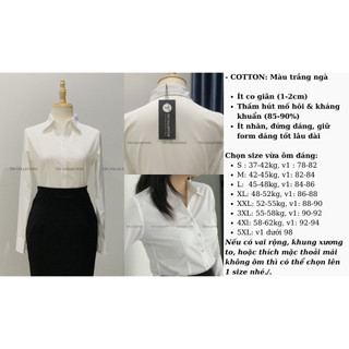 Combo 2 sơ mi cao cấp Tây Collection