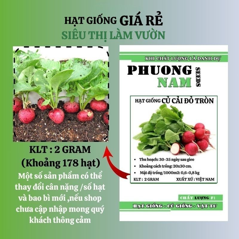 2 Gram - HẠT GIỐNG CỦ CẢI ĐỎ TRÒN