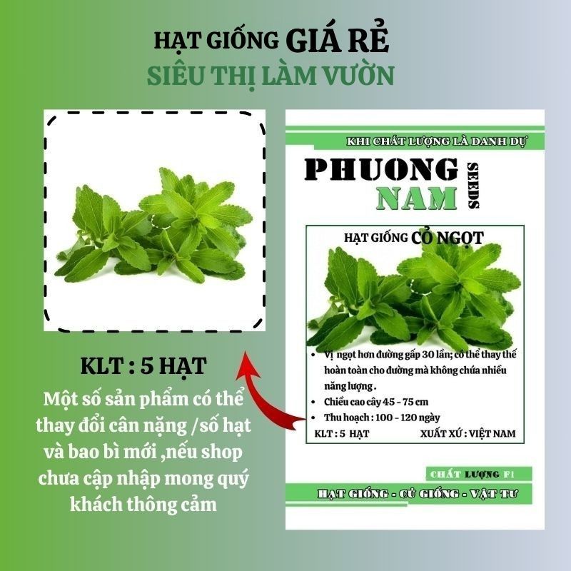 5 HẠT - HẠT GIỐNG CỎ NGỌT