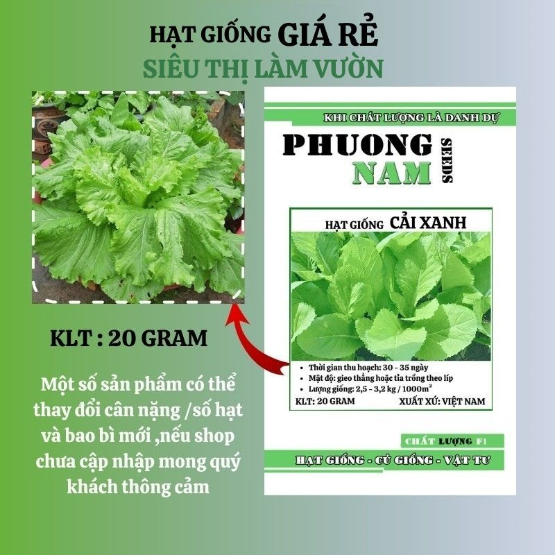 20GR - HẠT GIỐNG CẢI XANH