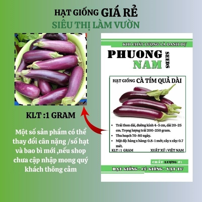 1GR - HẠT GIỐNG CÀ TÍM QUẢ DÀI