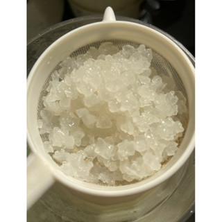 Nấm Kefir Dừa Lên Men Nước Dừa - Làm Nước Dừa Có Gaz - Đã Thuần Dừa