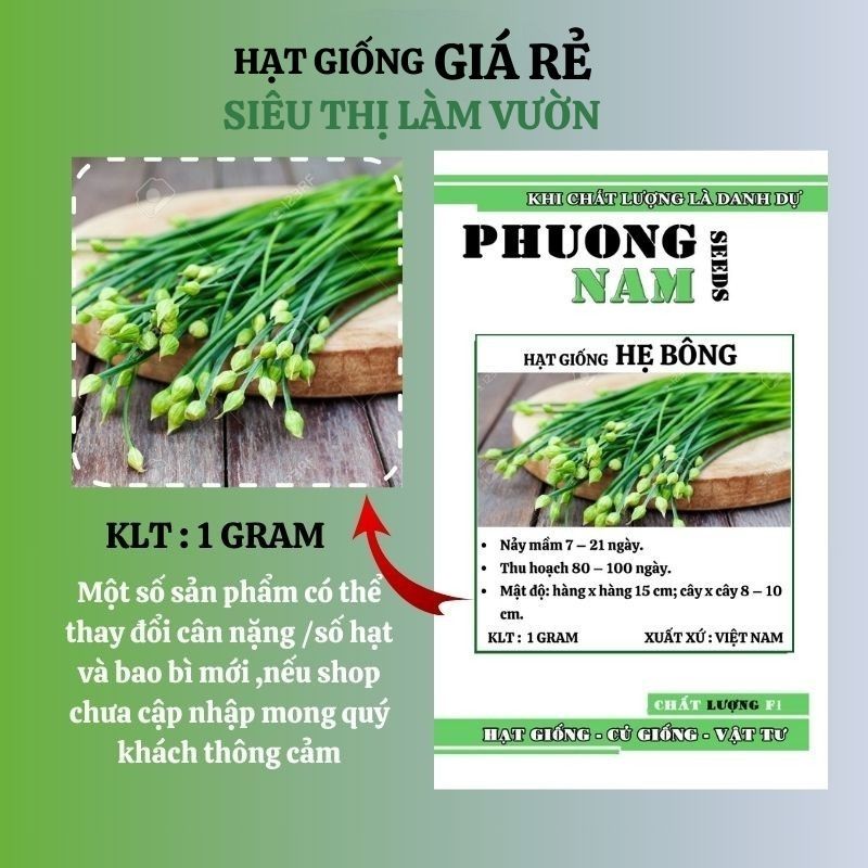 1GR - HẠT GIỐNG BÔNG HẸ