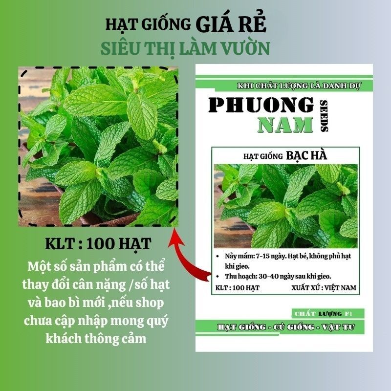 100H - HẠT GIỐNG RAU BẠC HÀ MINT ( HÚNG LỦI ÂU )