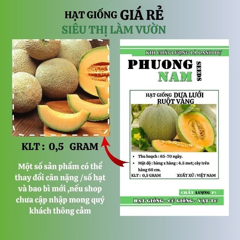 20H - HẠT GIỐNG DƯA LƯỚI RUỘT VÀNG