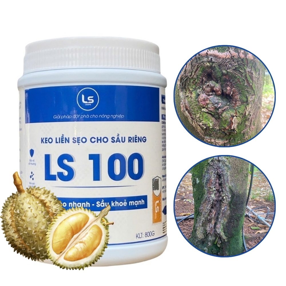LS 100 | Keo Làm Liền Da Cây Sầu Riêng