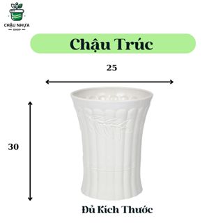 Chậu nhựa Ống Trúc Tròn nhiều kích thước lựa chọn, Trồng Cây ,Hoa Kiểng.