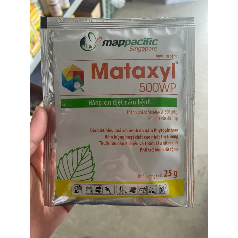 Mataxyl 500WP (mapacific) - Hàng xịn nấm bệnh, hiệu quả bện do nấm Phytophthora