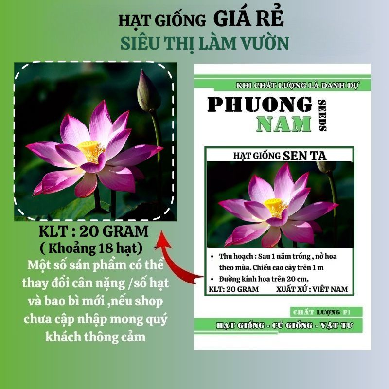 15H - HẠT GIỐNG HOA SEN TA