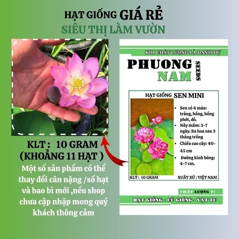 10H - HẠT GIỐNG HOA SEN MINI NHẬT MIX