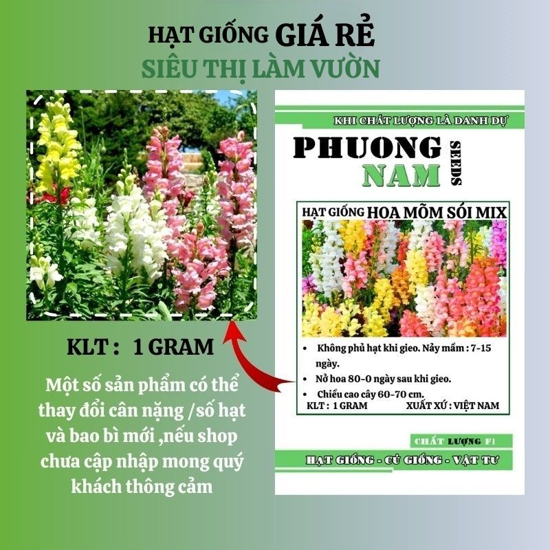 100H - HẠT GIÔNG HOA MÕM SÓI MIX