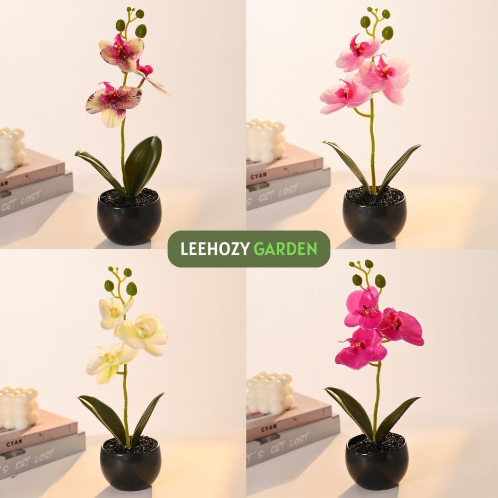 Hoa lan hồ điệp 3 bông kèm chậu, hoa giả để bàn, hoa giả decor cao cấp, Lan hồ điệp chậu đen