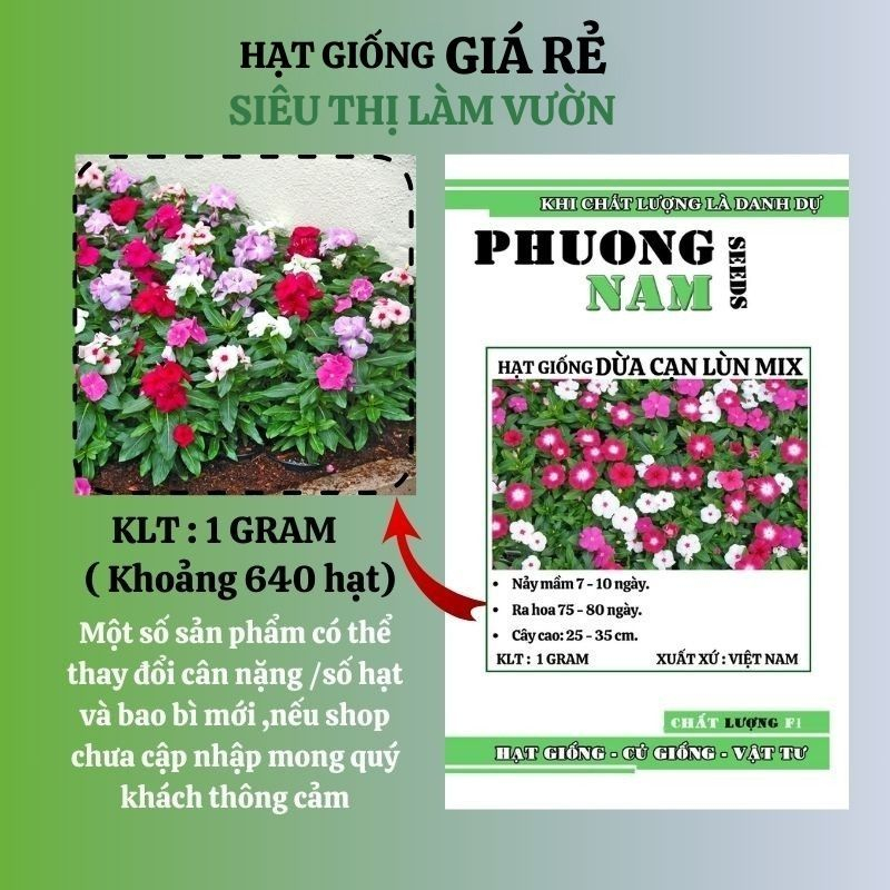 1 GRAM - HẠT GIỐNG HOA DỪA CẠN ĐỨNG MIX