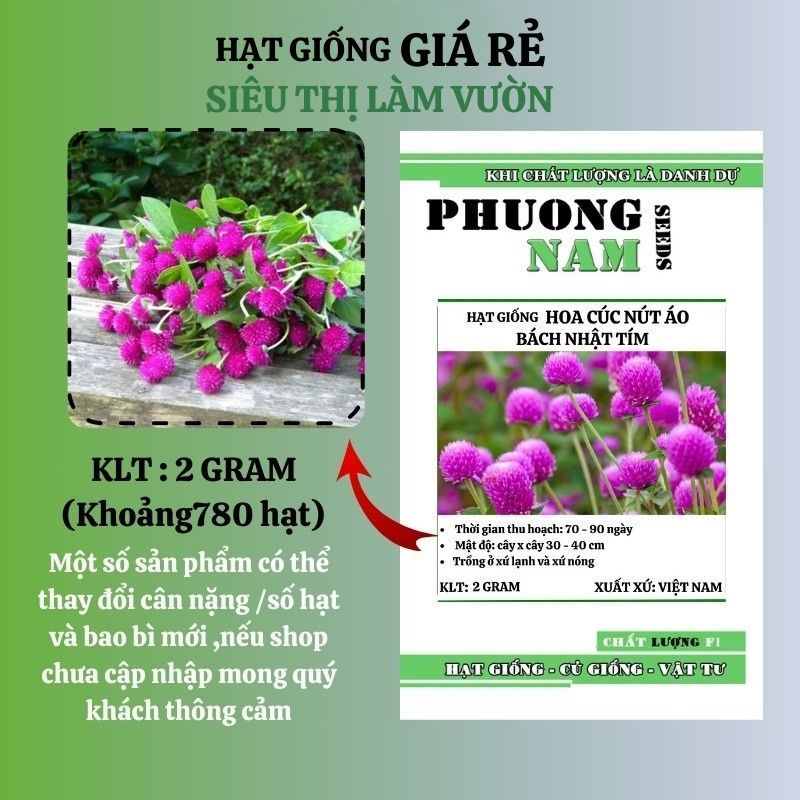 2 GRAM - HẠT GIỐNG HOA CÚC NÚT ÁO ( BÁCH NHẬT ) TÍM