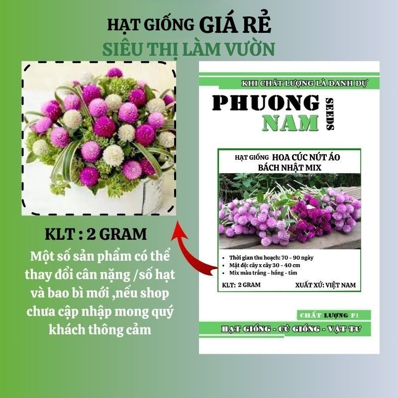 2 GRAM - HẠT GIỐNG HOA CÚC NÚT ÁO ( BÁCH NHẬT ) MIX MÀU