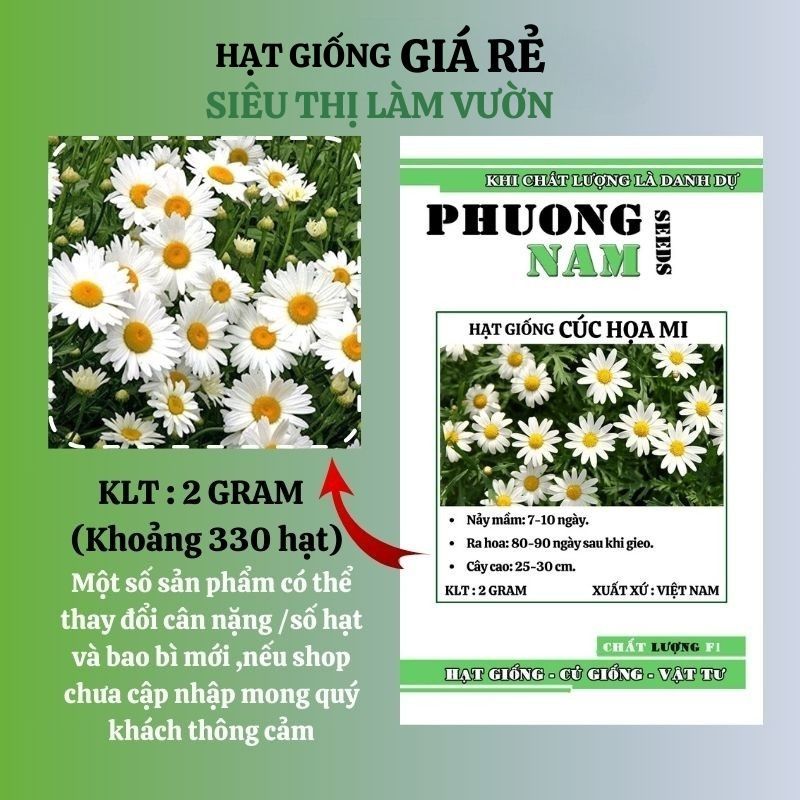 2 GRAM - HẠT GIỐNG HOA CÚC HỌA MI