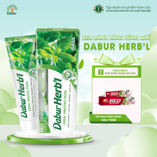 Kem Đánh Răng Giảm Viêm Lợi Thảo Dược Dabur Herbal Húng Quế Thuần Chay Cho Nướu Khỏe Mạnh Răng Chắc