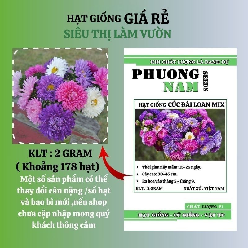1 GRAM - HẠT GIỐNG HOA CÚC ĐÀI LOAN LÙN MIX