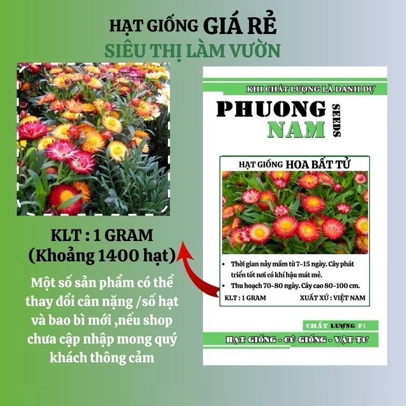 1 GRAM  - HẠT GIỐNG HOA BẤT TỬ MIX