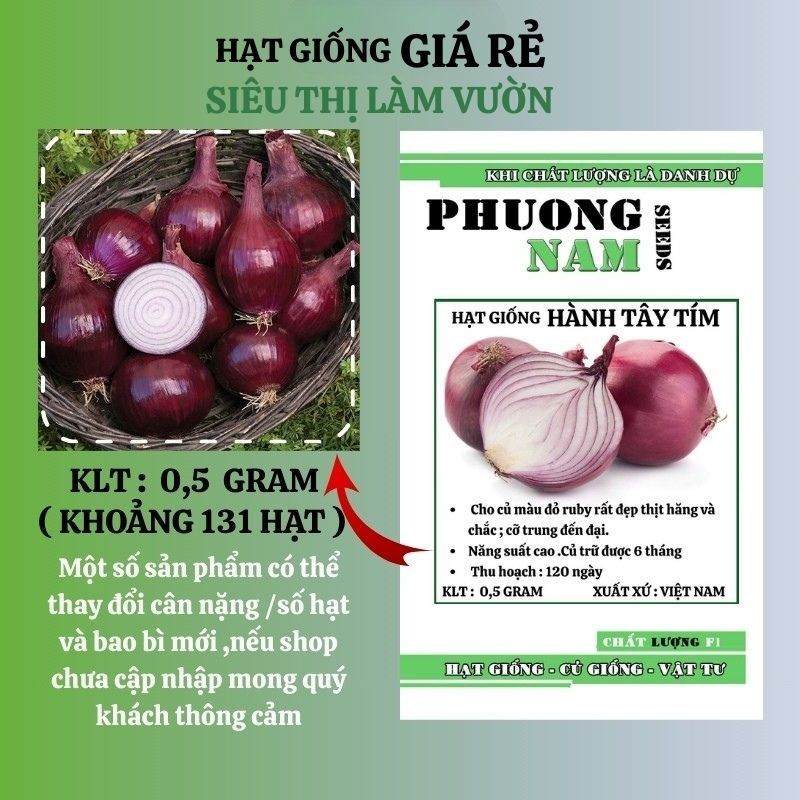 0.5 GR - HẠT GIỐNG HÀNH TÂY TÍM
