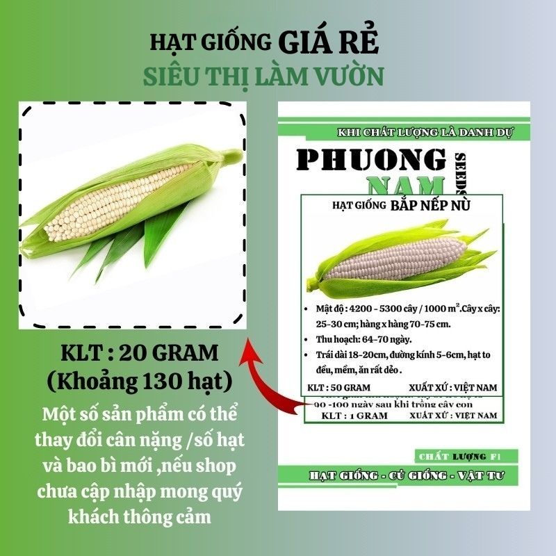 20 GR -  HẠT GIỐNG BẮP NẾP NÙ