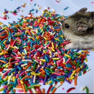 cốm  sợi  dinh dưỡng cho hamster
