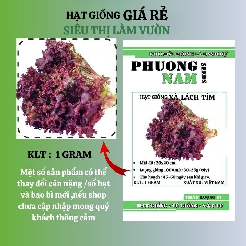 1GR - HẠT GIỐNG XÀ LÁCH TÍM