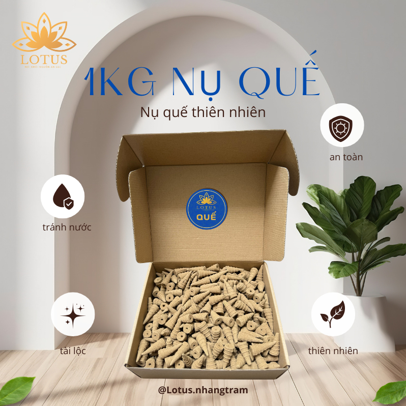 [Quế] [1kg] khoảng 500 viên nụ quế - thơm dịu nhẹ nhàng