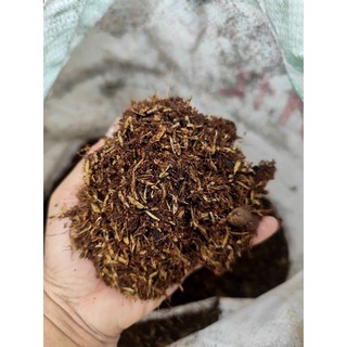 [KHOA HA] - BAO 40LÍT - GIÁ THỂ TRỒNG MAI, TRỒNG SỨ, TRỒNG RAU CỦ, CÂY ĂN TRÁI. GIÁ THỂ KHÔNG DÙNG ĐẤT.